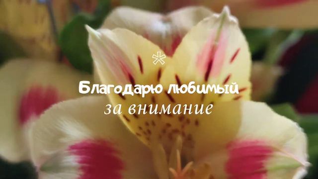 проверка связи)) смотреть онлайн