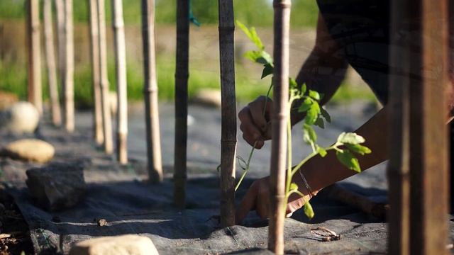 orto - sony nex 5n test смотреть онлайн