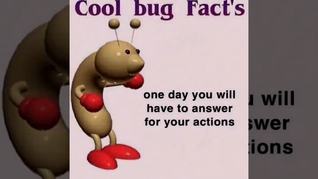 ⓘ Cool bug fact's! ; One day you will have to answer to your actions, and god may not be so mercifu смотреть онлайн