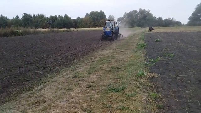 ПОДГОТОВКА К СЕВУ ГАРЧИЦЫ.mp4 смотреть онлайн