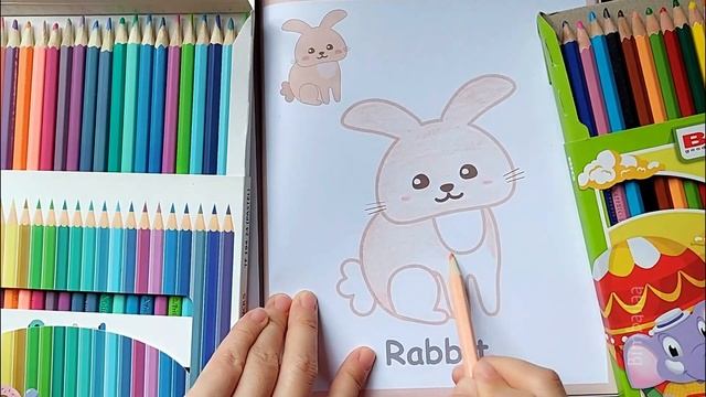 LET'S FUN COLORING RABBIT FOR KIDS NEW 2024 | Enjoyment Drawing | Fun with Art | Fun Color смотреть онлайн