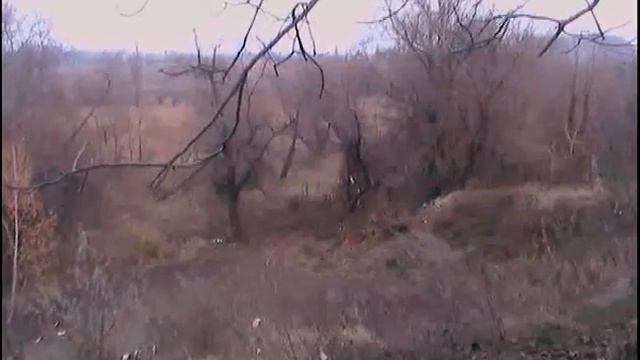 Фазан с Сойками спорит смотреть онлайн