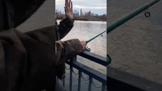 #топ #россия #рекомендации #врекомендации #а4 #волгоград #тренды смотреть онлайн