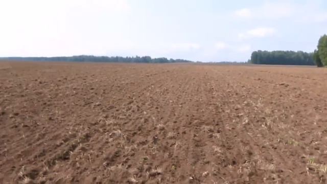 Секреты поиска кладов и монет с металлоискателем  Поиск золота