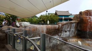 Калифорния: Парк Sea World в San Diego. Впечатления на всю жизнь #2