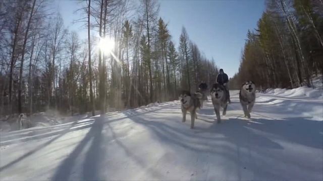 Немцы в сибири 10.02.19 смотреть онлайн