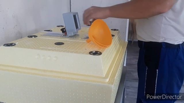 инкубатор ЗОЛУШКА!/Первое включение! смотреть онлайн