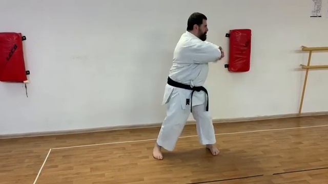 Naifanchin kata Naihanchi Shito ryu karate