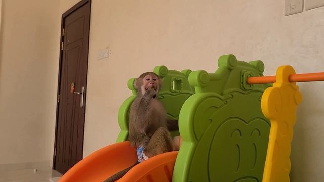 Будьте вежливы!!! Всем хорошего настроения! 07.10.23 @nft_Niki2708 смотреть онлайн