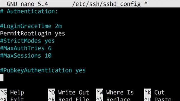 Raspberry Pi Pure Debian OS Full Setup