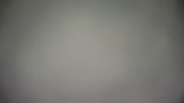 Тренировка на собаках hokk смотреть онлайн