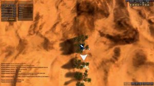 Black Desert оазис снов