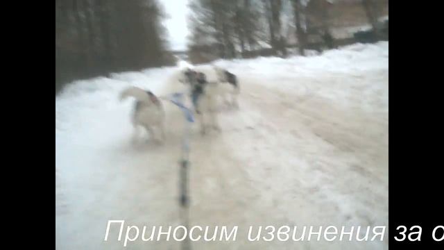 обкатываем нарту Шаман смотреть онлайн