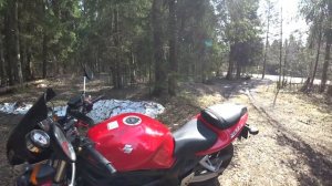 Обзор suzuki sv 400. Бешенная табуретка)