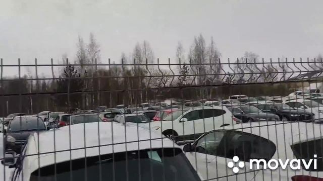 Цена на Skoda Octavia,Fabia выезд в Литву,закон о растаможке смотреть онлайн