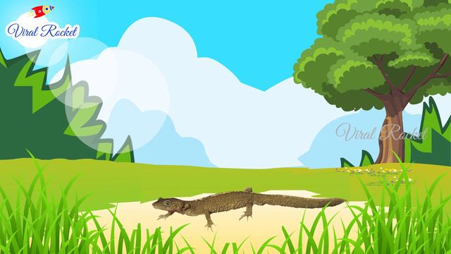 Learn Reptiles And Amphibians For Kids || Reptiles For Children In English | Amphibians Names