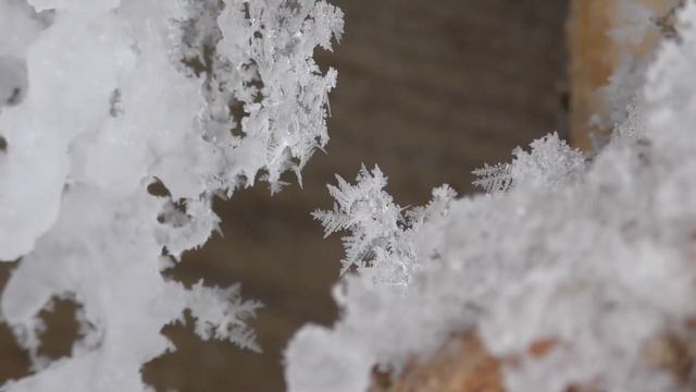 Щелоковский хутор Источник смотреть онлайн