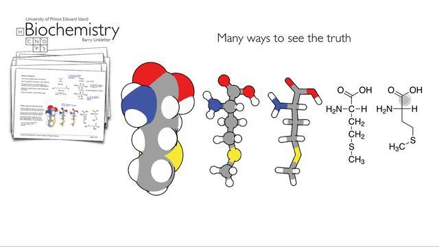 Review of Organic Chemistry: Communicating Chemical Structure смотреть онлайн