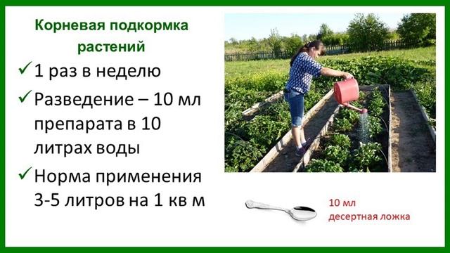 Микробиологическое удобрение "Сияние" (описание, результаты, инструкция) смотреть онлайн