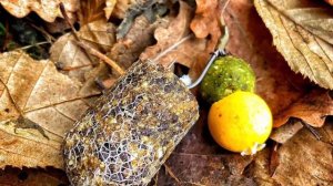 Монтажи и поводки с ПВА  на карпа...