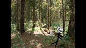 Инцидент: Это их лес (_INCIDENTY_)