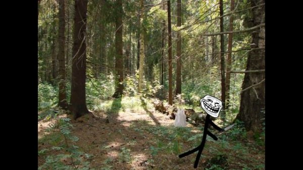 Инцидент: Это их лес (_INCIDENTY_)