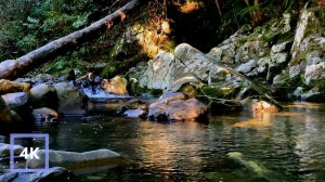ЗВУКИ РЕКИ в лесу и на ТЕМНОМ ЭКРАНЕ, шум реки для расслабления, учебы, сна.