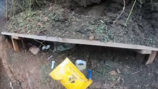 5 дней своих не забирают настолько всушникам плевать на людей смотреть онлайн