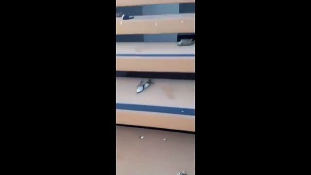 Мертвые птицы упали на борт корабля смотреть онлайн