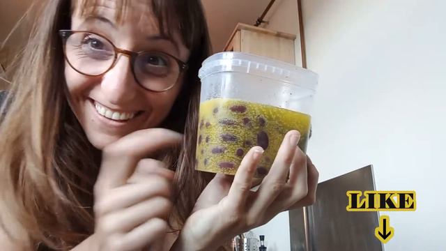 Nori ¿Cómo Me Como La Alga Nori? #pasta 1 How Do I Eat Nori Seaweed?