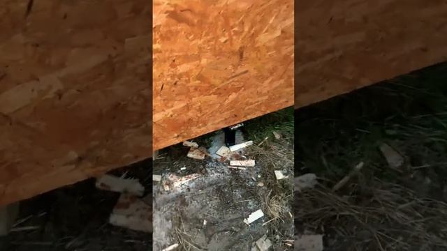 Сарай 2*4 своими руками смотреть онлайн