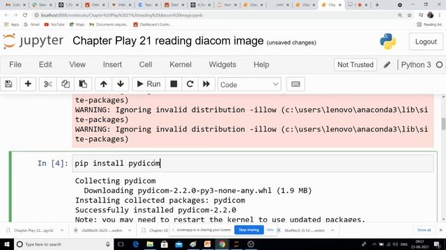Chapter 21: Reading Diacom image: Python full course смотреть онлайн