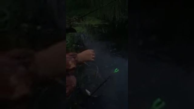 Отпусти леща смотреть онлайн