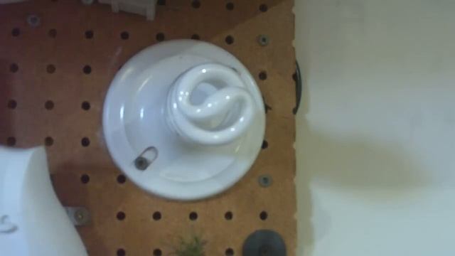 14W TCP Compact Flourescent Bulb смотреть онлайн