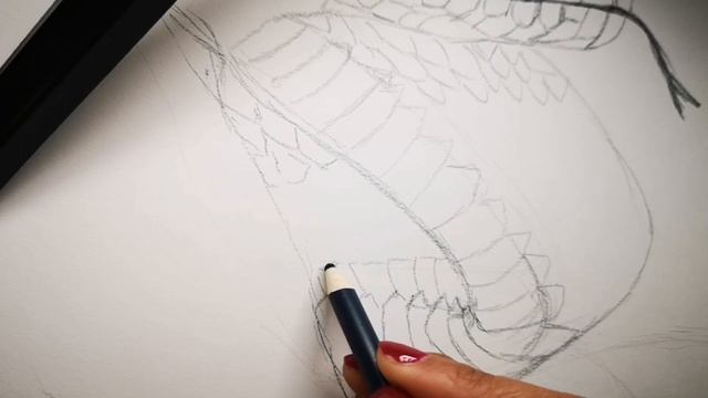How To Draw A Snake Sketch Step By Step For Beginners| Easy Blue Snake | නිල් පාට සර්පයා| Part 2|Ar смотреть онлайн