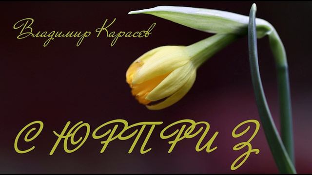 Владимир Карасев - СЮРПРИЗ смотреть онлайн