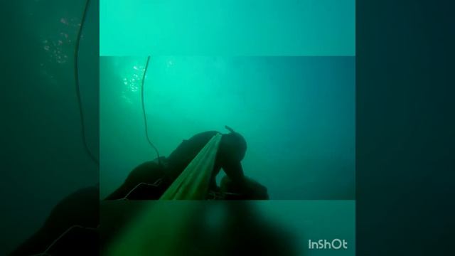 Камбала!!! смотреть онлайн