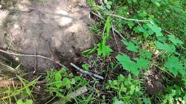 Нашел сброс шестерен на старой лесной дороге!!! смотреть онлайн