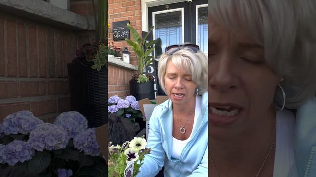 NEW for 2023 Ball FloraPlant and Selecta One sample box arrived! смотреть онлайн