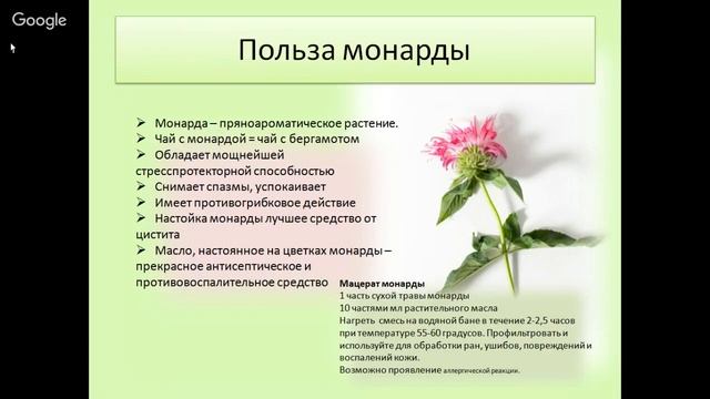 Целебный огород. Ольга Апиариус (Думкина) смотреть онлайн