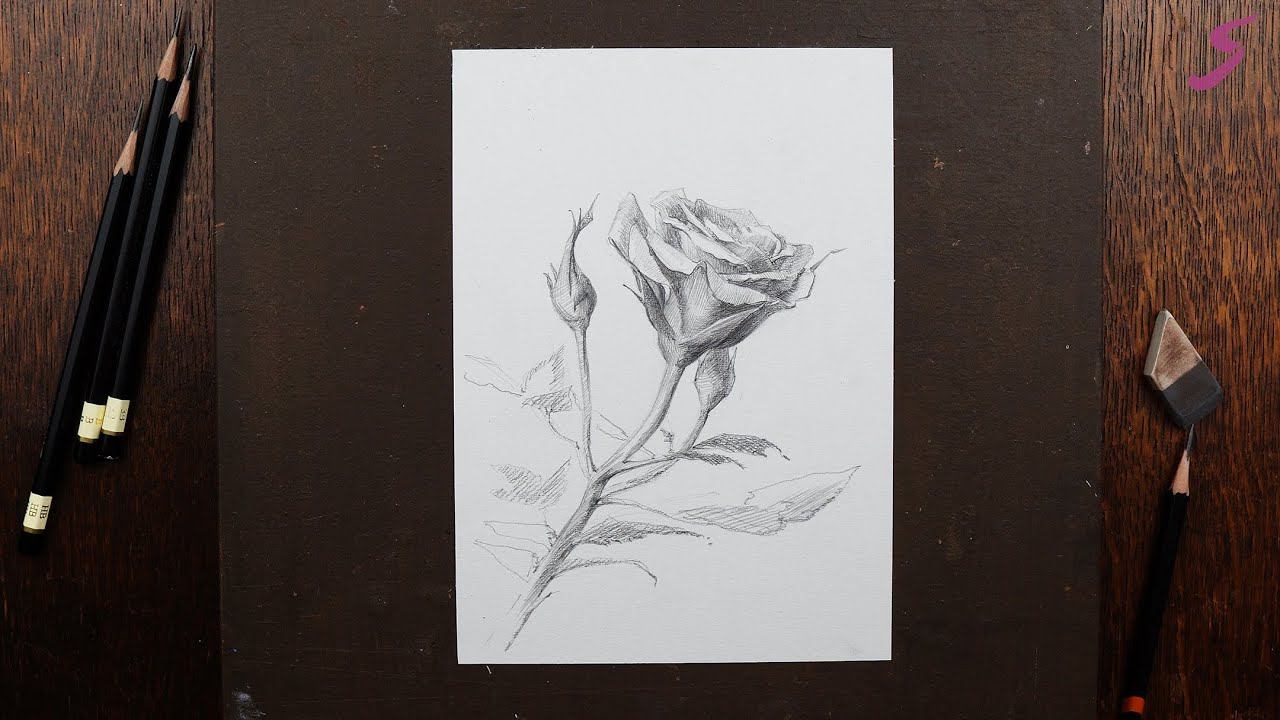 Марафон «На старт, внимание, май!». 2.Роза смотреть онлайн