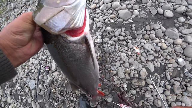 НАКОНЕЦ ВЫТАЩИЛ СВОЙ ТРОФЕЙ!!!