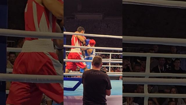 Г. Мамедов - М. Хасанов. кубок Европы по боксу Budva 2023 смотреть онлайн