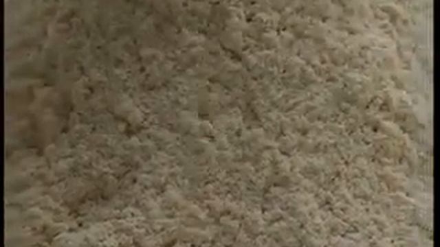 Forbo Linoleum  Introduction