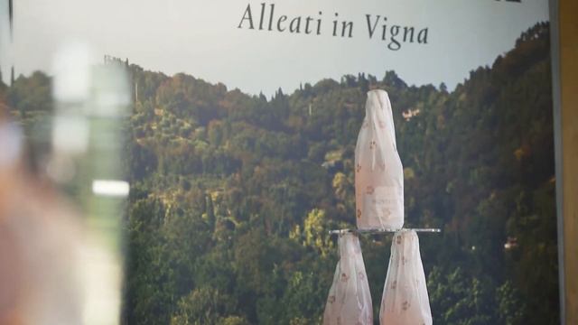 MONTELVINI | SERENITATIS PROSECCO DOC ROSÉ | Promotion