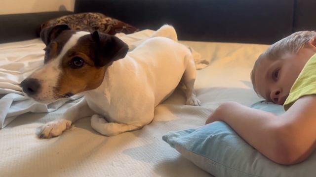 Соник любит внимание смотреть онлайн