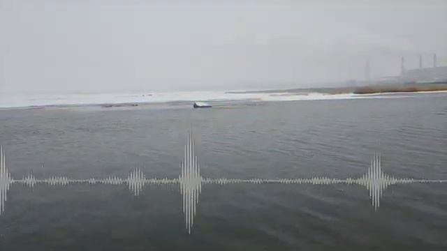 Первый снег.mp4 смотреть онлайн