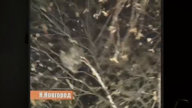 This is Хорошо - Стандартный. (о}э{о) смотреть онлайн