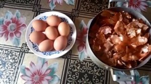 КАК к Пасхе ПРАВИЛЬНО ПОКРАСИТЬ ЯЙЦА в луковой шелухе/Самый простой способ/БЕЗ ТРЕЩИН/ПАСХА 2021