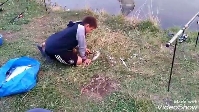 Рыбалка на ТОЛСТОЛОБА в Николаеве смотреть онлайн